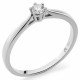 Orphelia® Women's Whitegold 18C Ring - Silver RD-3919/1