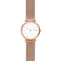 Skagen® Analogue 'Signatur' Women's Watch SKW2694