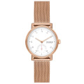 Skagen® Analogue 'Kuppel Lille' Women's Watch SKW3099