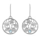 Orphelia® 'Oceane' Women's Sterling Silver Drop Earrings - Silver ZO-7090