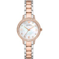 Emporio Armani® Analogique 'Cleo' Femmes Montre AR11499