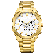 Citizen® Chronographe  Hommes Montre CA4592-85A