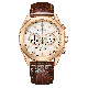 Citizen® Chronographe  Hommes Montre CA4593-15A