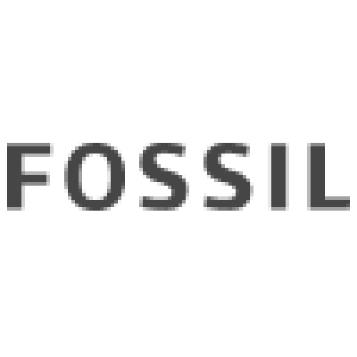 Fossil