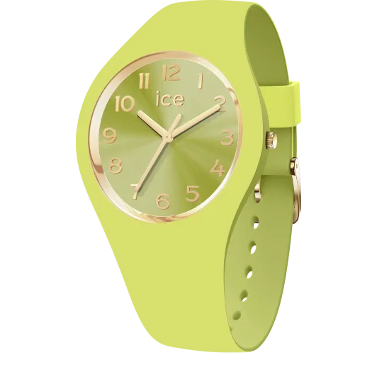 Ice Watch® Analogue 'Ice Duo Chic - Lime' Women's Watch (Small) 021820