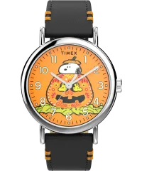 Timex® Analogue 'Peanuts Weekender Main Line' Men's Watch TW2Y12300