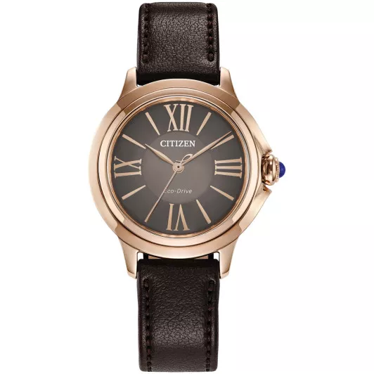 Citizen® Analogue Women's Watch EM1163-09X