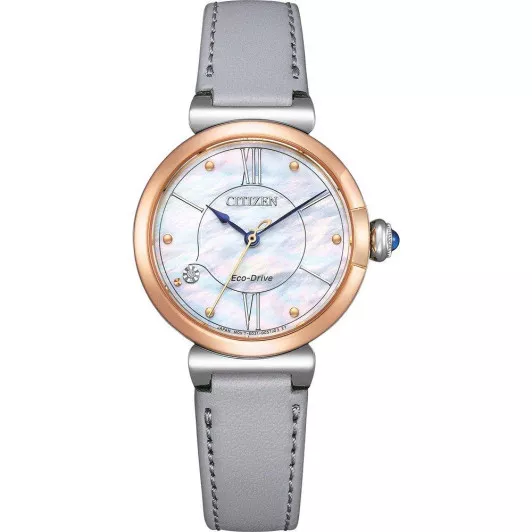 Citizen® Analogique  Femmes Montre EM1074-15D