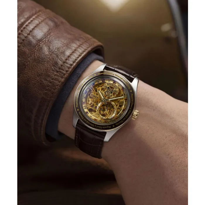 Timex Harry Potter X Timex Waterbury TW2Y75500 Automatic Watch at