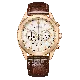 Citizen® Chronograaf Heren Horloge CA4593-15A