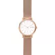 Skagen® Analoog 'Signatur' Dames Horloge SKW2694