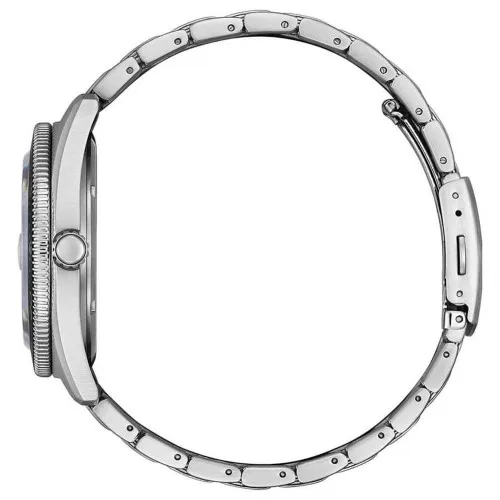 Citizen AW1761-89L Eco-Drive Watch at Ormoda