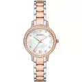 Emporio Armani® Analogue 'Cleo' Women's Watch AR11499