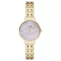 Skagen® Analogique 'Anita Lille' Femmes Montre SKW3165