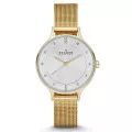 Skagen® Analoog 'Anita' Dames Horloge SKW2150