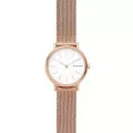 Skagen® Analog 'Signatur' Damen Uhr SKW2694