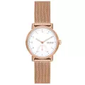 Skagen® Analoog 'Kuppel lille' Dames Horloge SKW3099