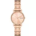 Skagen® Analogique 'Signatur Lille' Femmes Montre SKW3125