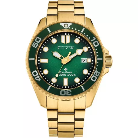 Citizen® Analogue 'Promaster Dive' Men's Watch BN0262-59W