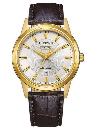Citizen® Analogue Men's Watch AW0102-13AC