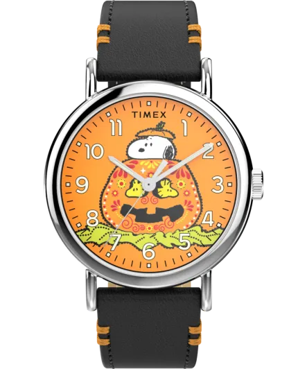 Timex® Analogue 'Peanuts Weekender Main Line' Men's Watch TW2Y12300