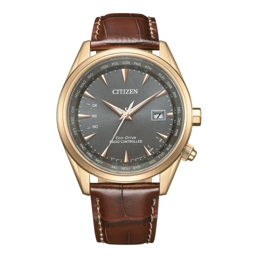 Citizen® Analoog Heren Horloge CB0273-11H