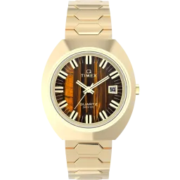 Timex® Analogue 'Time Machine Reissue' Men's Watch TW2Y45200