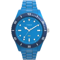 Timex® Analog 'Legacy' Herren Uhr TW2Y04300