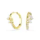 Swarovski 'Mesmera Attract' Women's Gold Plated Metal Hoop Earrings - Gold 5761975