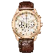 Citizen® Chronograaf Heren Horloge CA4593-15A