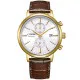 Citizen® Chronograaf Heren Horloge CA7062-15A