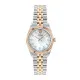 Versace Analogique 'Millenyium Lady' Femmes Montre VE5K00326